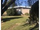 56 Orchard Road, Bass Hill NSW 2197