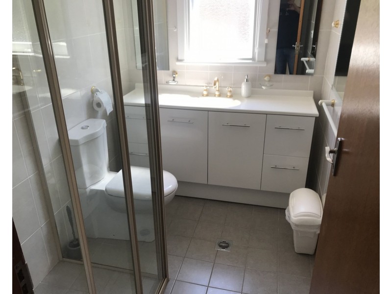 5 Holden Street, Chester Hill NSW 2162