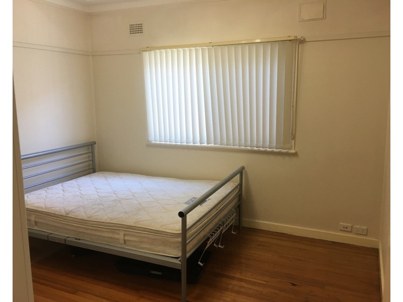 155 Priam Street, Chester Hill NSW 2162