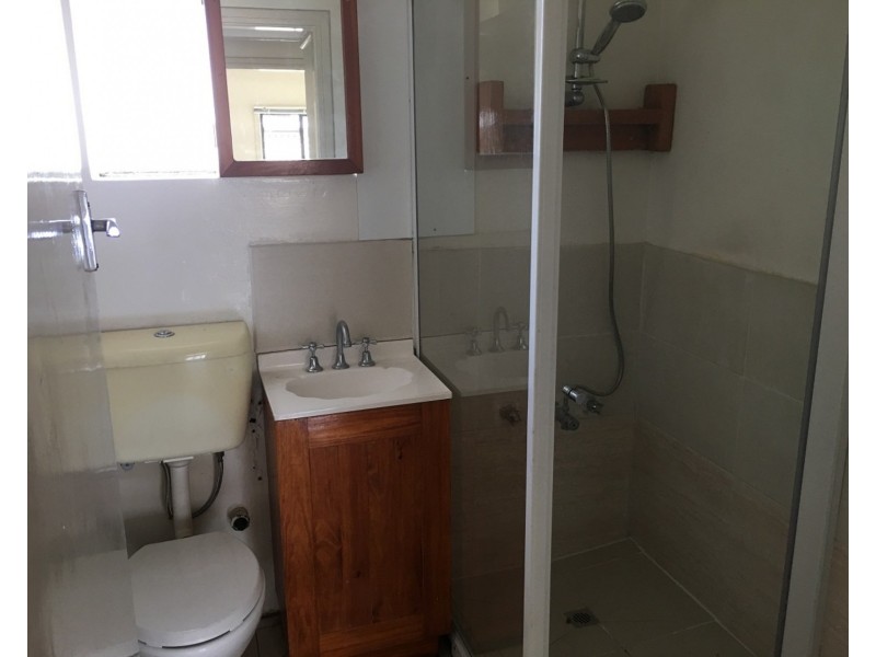 132 Hector Street, Chester Hill NSW 2162