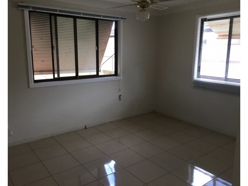 132 Hector Street, Chester Hill NSW 2162