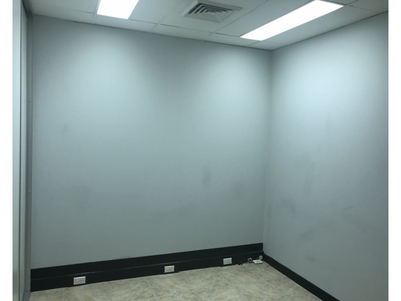 84 Waldron Road, Chester Hill NSW 2162