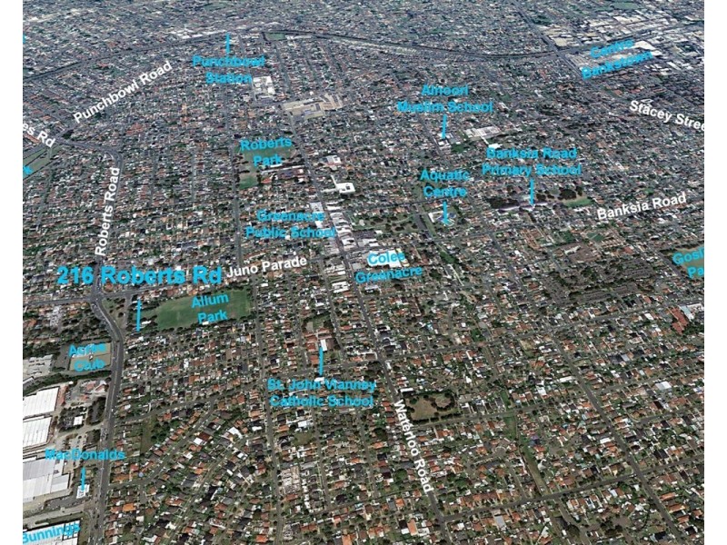 216 Roberts Road, Greenacre NSW 2190