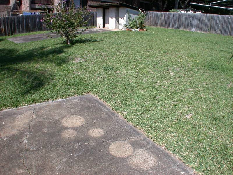 13 Nowill Street, Rydalmere NSW 2116