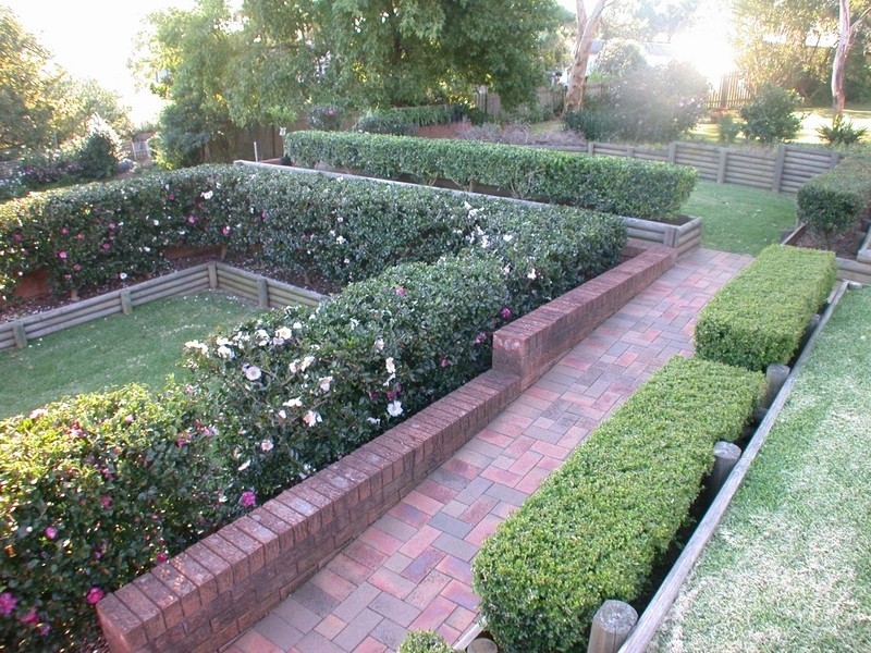 6 Northwood Place, Dundas NSW 2117