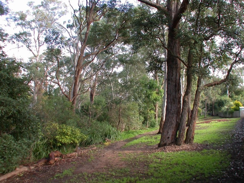 3/94 Park Road, Rydalmere NSW 2116