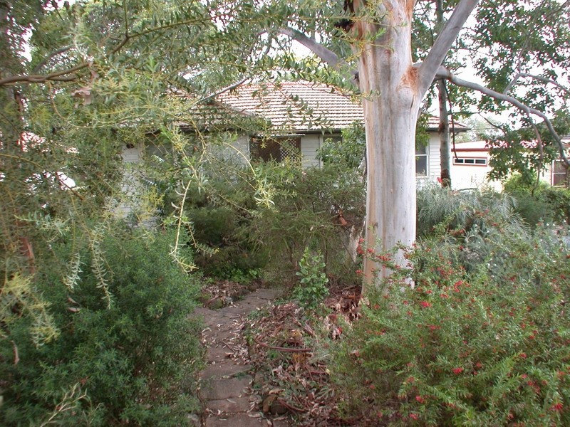 24 Woodward Street, Ermington NSW 2115