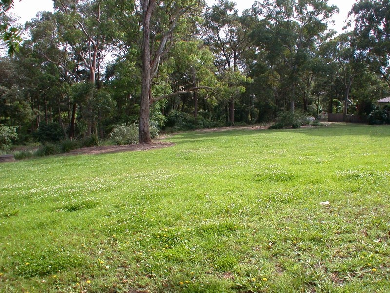 6 Finch Avenue, Rydalmere NSW 2116