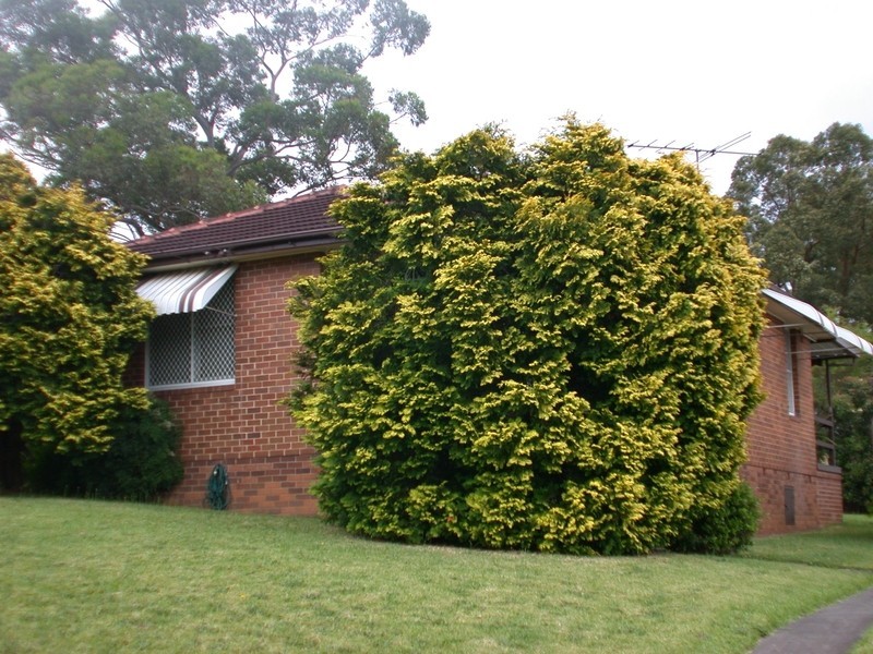 5 Pedrick Place, Dundas NSW 2117