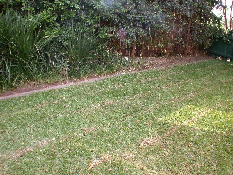 12 Tristram Street, Ermington NSW 2115