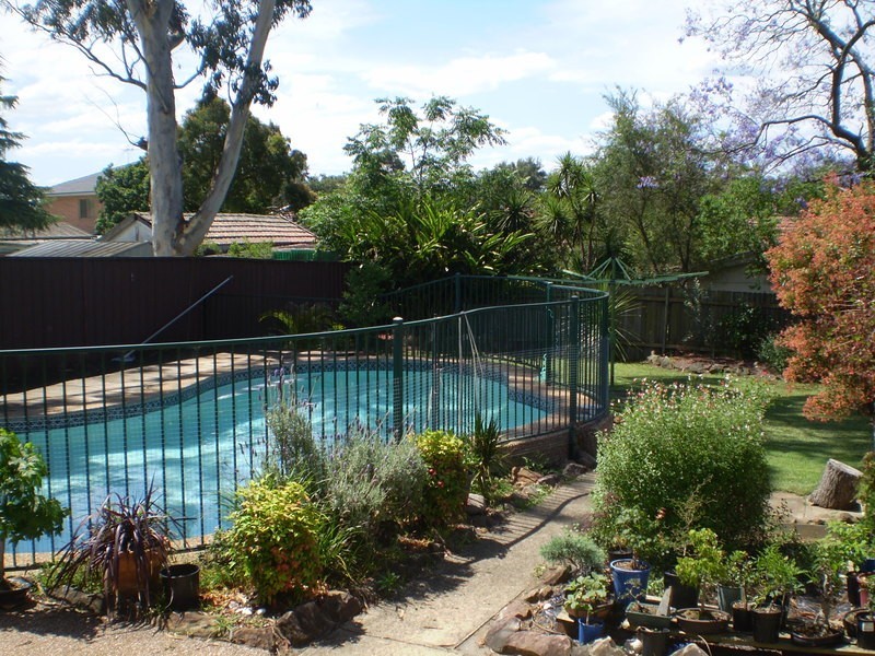 11 Pine Street, Rydalmere NSW 2116