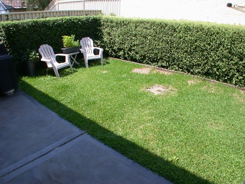 2/63-65 Park Road, Rydalmere NSW 2116