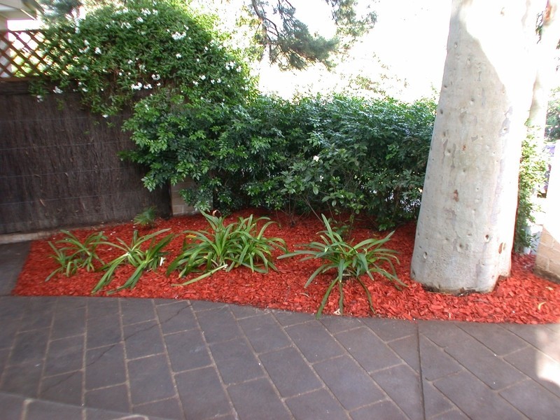 1/35 Patricia Street, Rydalmere NSW 2116