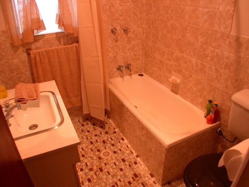 4 Patricia Street, Rydalmere NSW 2116