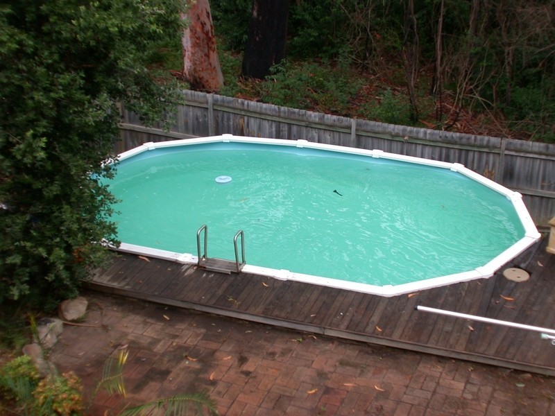 19 Parkland Avenue, Rydalmere NSW 2116