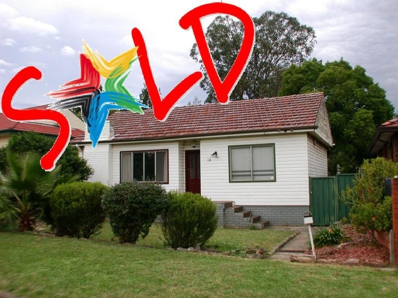 12 Macarthur Street, Ermington NSW 2115