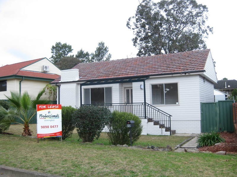 12 Macarthur Street, Ermington NSW 2115