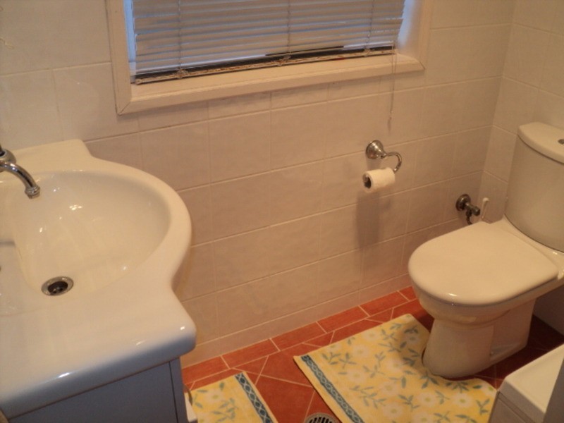 43 Park Road, Rydalmere NSW 2116