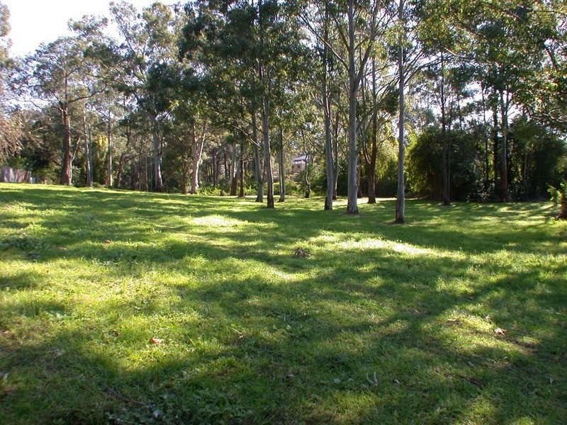 62 Moffatts Drive, Dundas NSW 2117