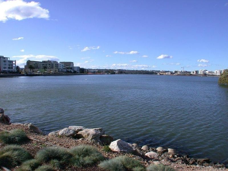 2/29 Bennelong Parkway, Wentworth Point NSW 2127