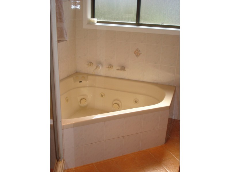 43 Crowgey Street, Rydalmere NSW 2116