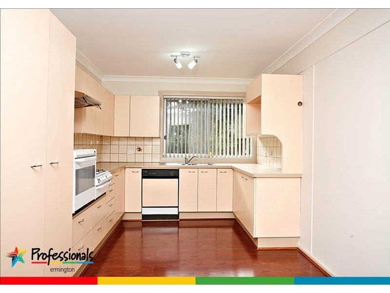 145 Park Road, Dundas NSW 2117