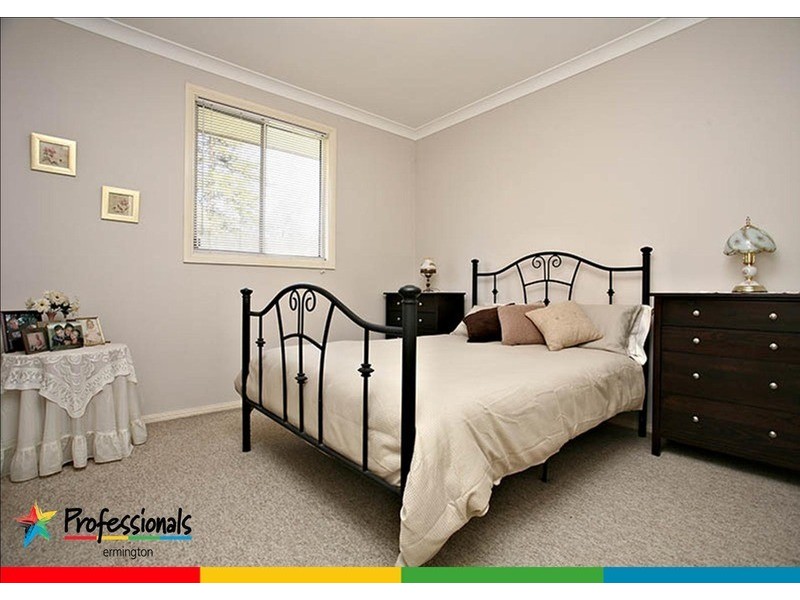 13 Fullarton Street, Telopea NSW 2117