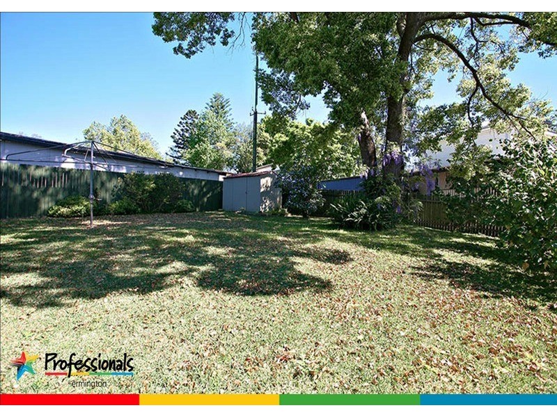 13 Fullarton Street, Telopea NSW 2117