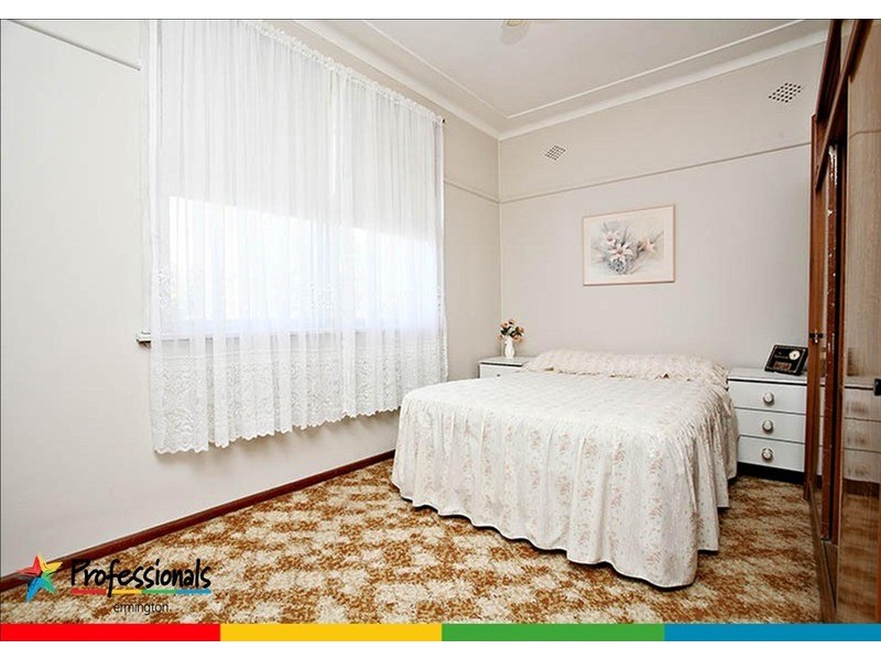 13 Fullarton Street, Telopea NSW 2117