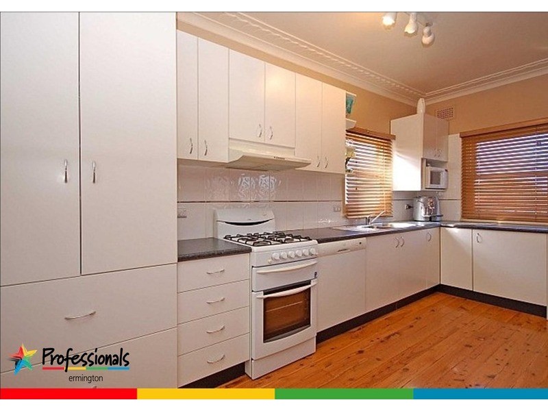 53 Marguerette Street, Ermington NSW 2115