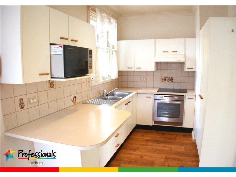 4 Manson Street, Telopea NSW 2117