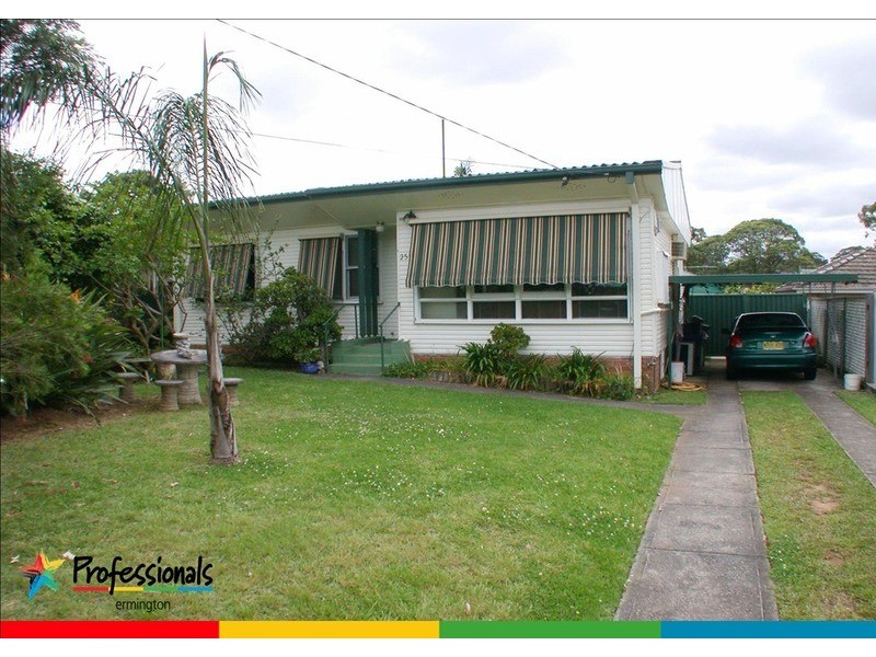 25 Wassell Street, Dundas NSW 2117