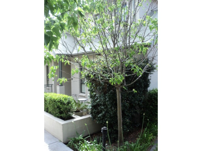 8/1 Checkley Court, Ermington NSW 2115