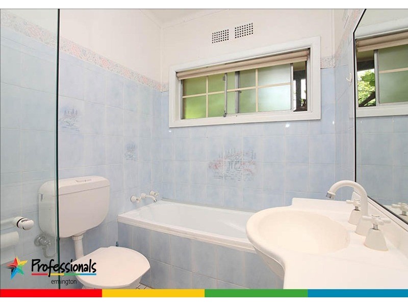 17 Parkland Avenue, Rydalmere NSW 2116