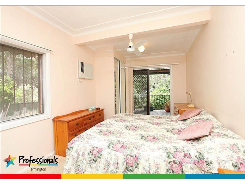 17 Parkland Avenue, Rydalmere NSW 2116