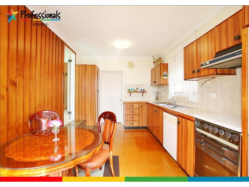 167 Park Road, Dundas NSW 2117