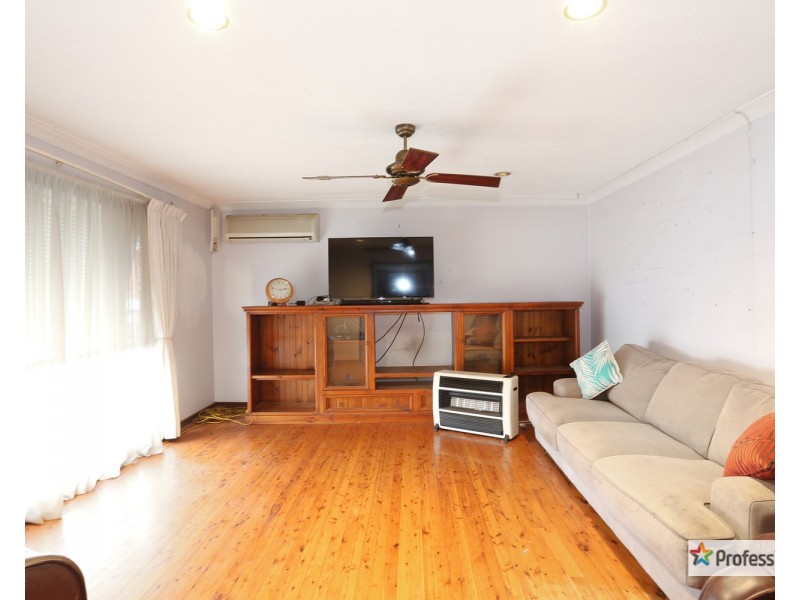 16 Crabb Place, Cabramatta NSW 2166