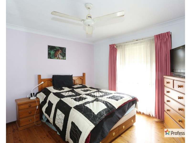16 Crabb Place, Cabramatta NSW 2166