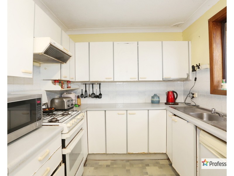 16 Crabb Place, Cabramatta NSW 2166