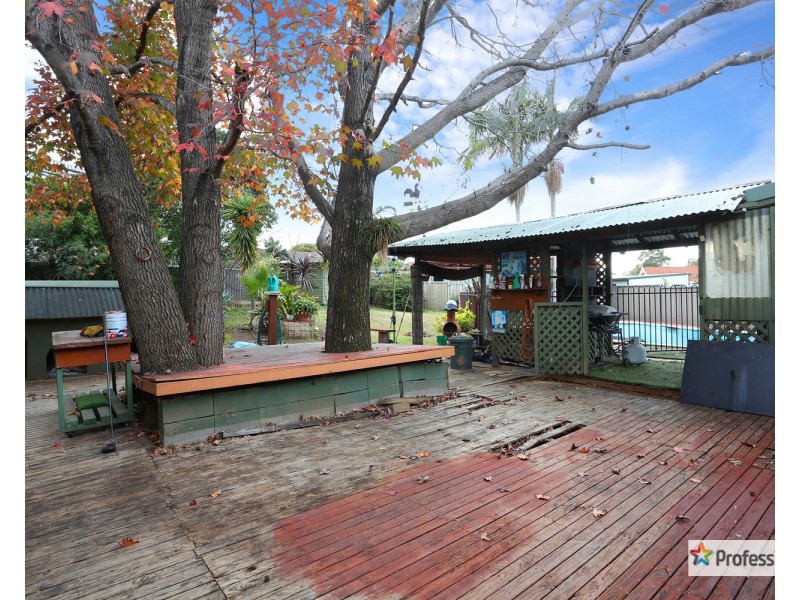 16 Crabb Place, Cabramatta NSW 2166