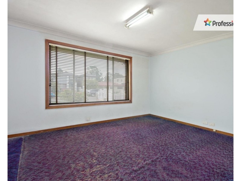 26 Mittiamo Street, Canley Heights NSW 2166