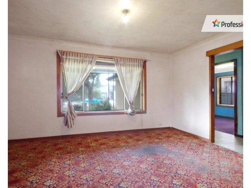 26 Mittiamo Street, Canley Heights NSW 2166