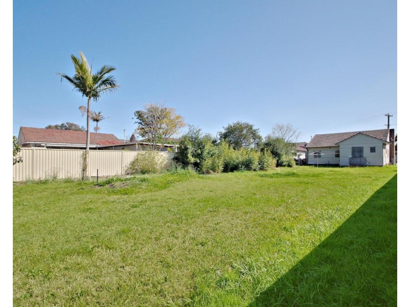 48 Broomfield Street, Cabramatta NSW 2166