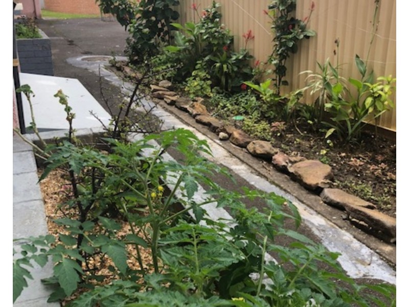 4/17 Lawson Street, Fairfield NSW 2165