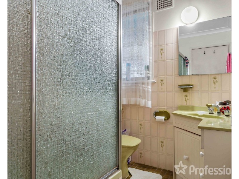 5 Solo Crescent, Fairfield NSW 2165