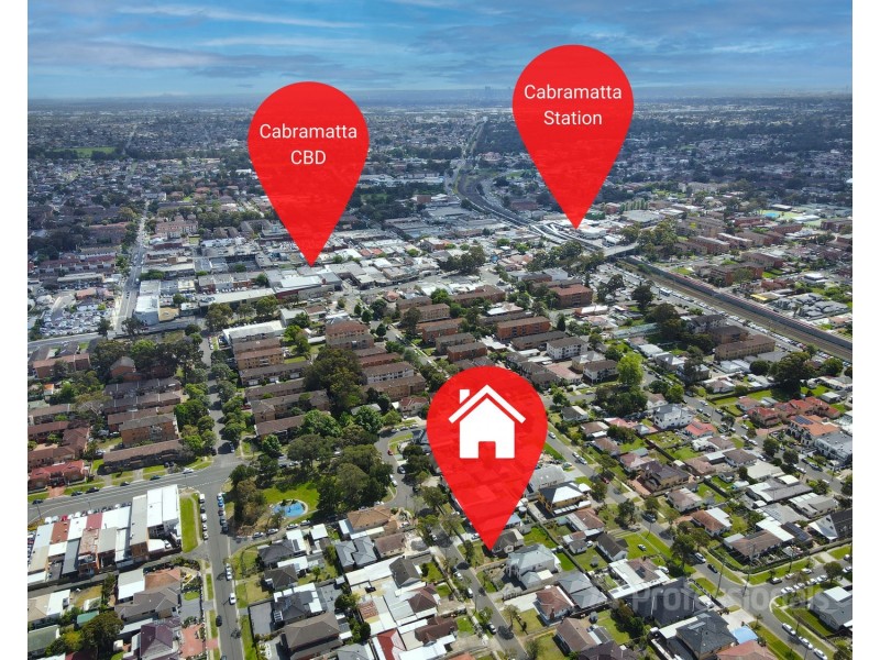 12 Eurabbie Street, Cabramatta NSW 2166