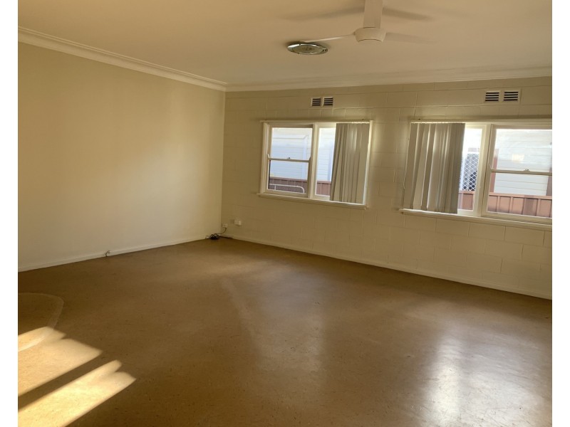 94 The Avenue, Canley Vale NSW 2166