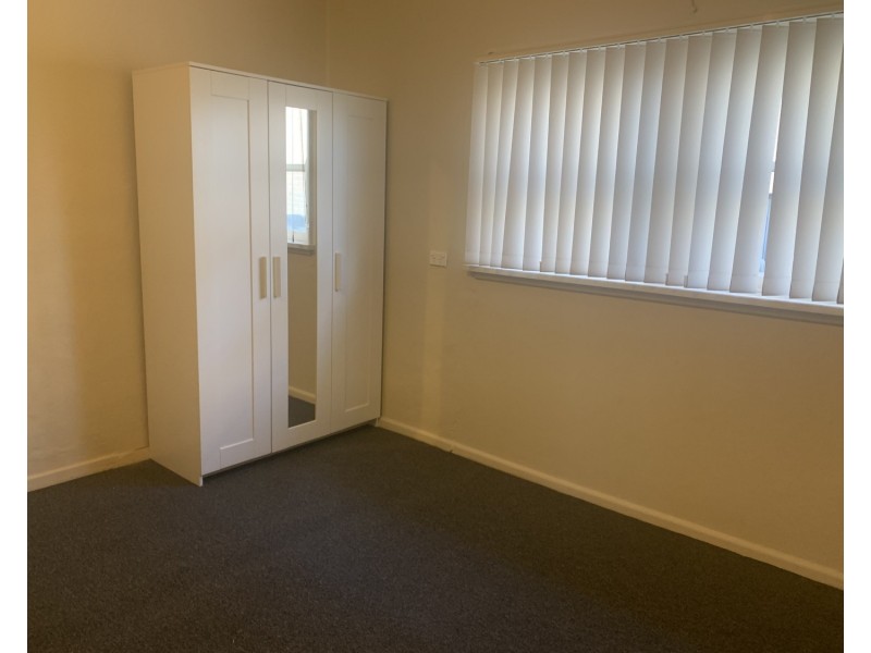 94 The Avenue, Canley Vale NSW 2166