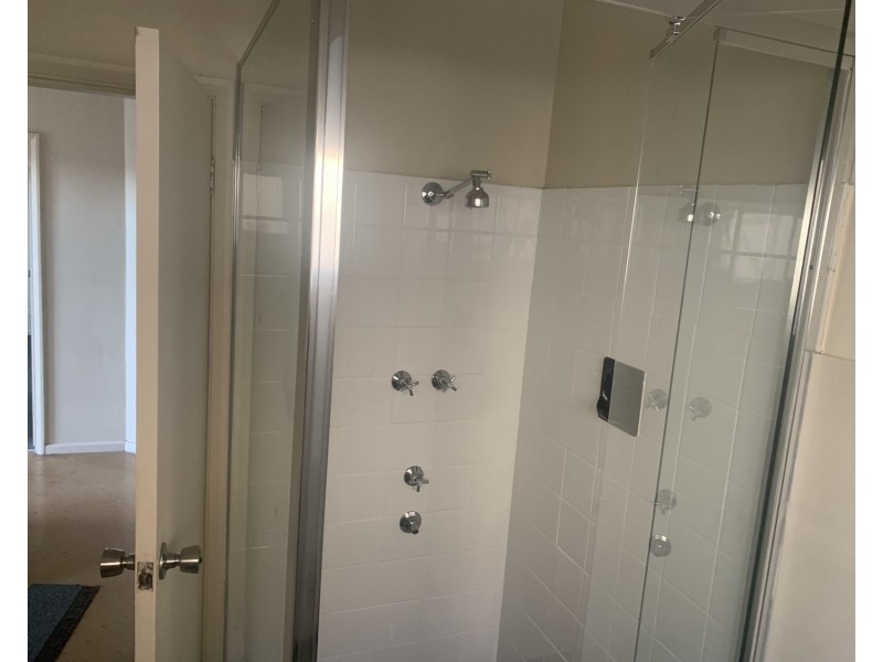 94 The Avenue, Canley Vale NSW 2166