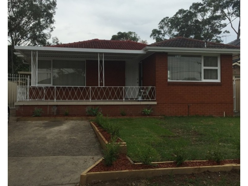 38 Anderson Avenue, Mount Pritchard NSW 2170